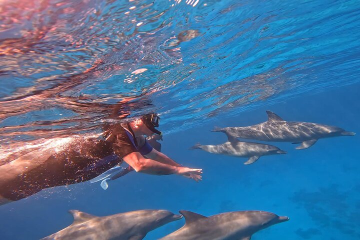 Gita in barca alla Dolphin House, Hurghada, per nuotare con i delfini e fare snorkeling, foto 35 | wizardtrip