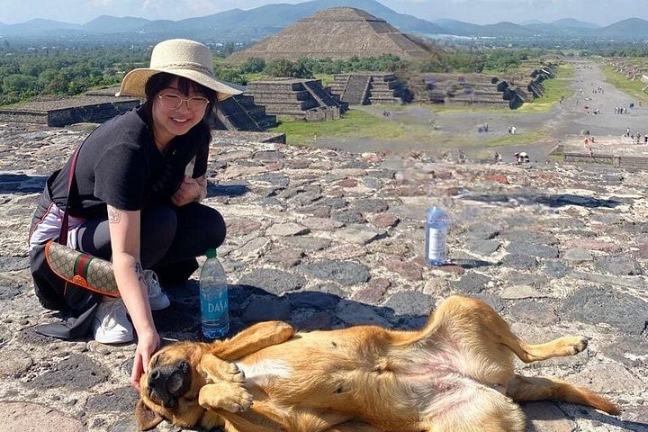 Visite matinale des pyramides de Teotihuacan avec la guide Angela, incluant transport et nourriture locale, photo 16 | wizardtrip