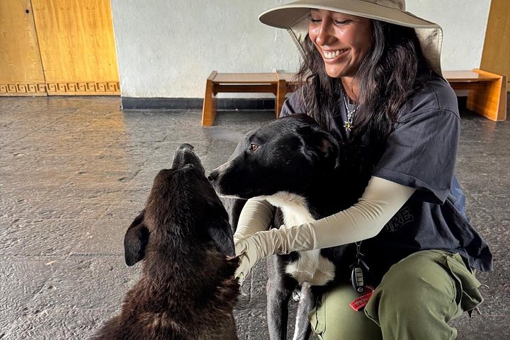 Visite matinale des pyramides de Teotihuacan avec la guide Angela, incluant transport et nourriture locale, photo 18 | wizardtrip