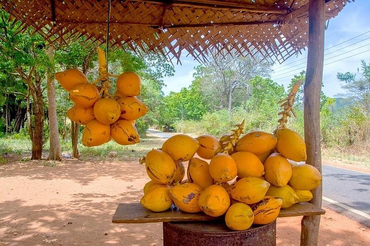 Explore Colombo's food and culture by tuk-tuk, tasting local delicacies and visiting key landmarks, photo 8 | wizardtrip