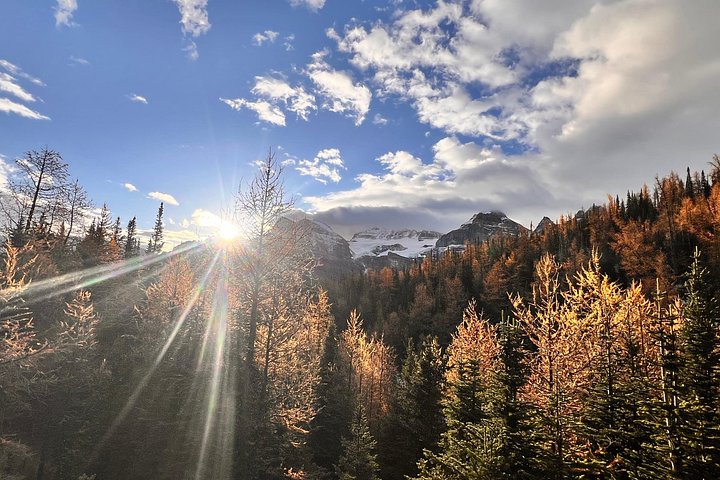 Naturskjønn tur til kanadiske Rocky Mountains-innsjøer og Banff by, inkludert Lake Louise og Moraine Lake, foto 7 | wizardtrip