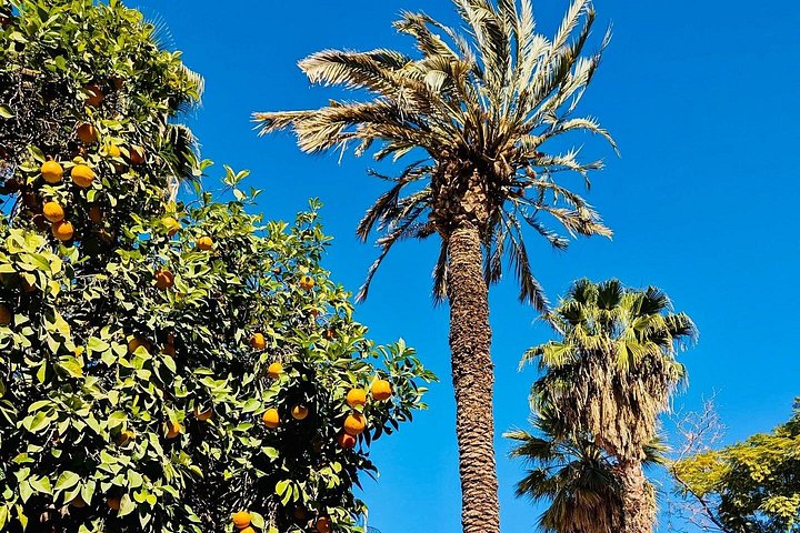 Geleide tour die Marrakech's historische Jemaa el-Fna, souks en paleizen verkent, foto 7 | wizardtrip
