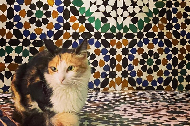 Geleide tour die Marrakech's historische Jemaa el-Fna, souks en paleizen verkent, foto 30 | wizardtrip