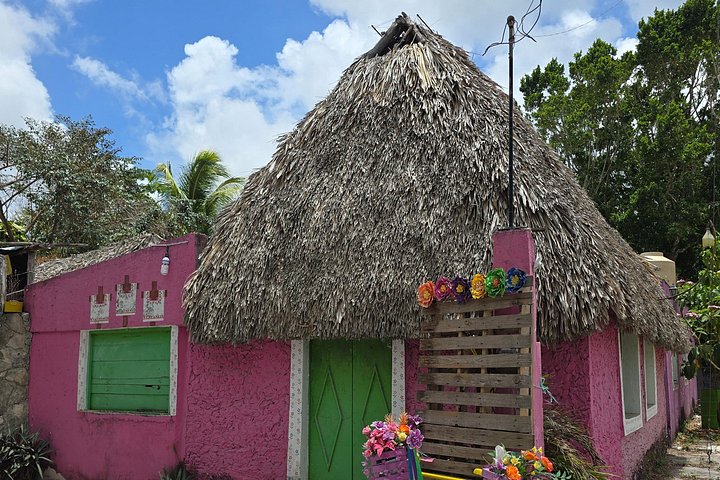 Tour en VTT à travers la jungle et un village maya à Cozumel, Mexique, avec baignade dans un cénote, photo 27 | wizardtrip