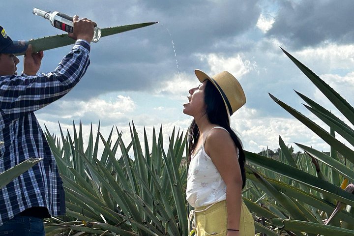 Tagesausflug ab Oaxaca mit Hierve el Agua Wasserfällen, Mitla Ruinen, Tulebaum und Mezcal-Verkostung, Foto 18 | wizardtrip