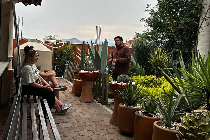 Tagesausflug ab Oaxaca mit Hierve el Agua Wasserfällen, Mitla Ruinen, Tulebaum und Mezcal-Verkostung, Foto 20 | wizardtrip
