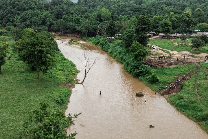 Découvrez un sanctuaire éthique d'éléphants, du rafting sur bambou et des cascades lors d'une excursion d'une journée depuis Chiang Mai, photo 14 | wizardtrip