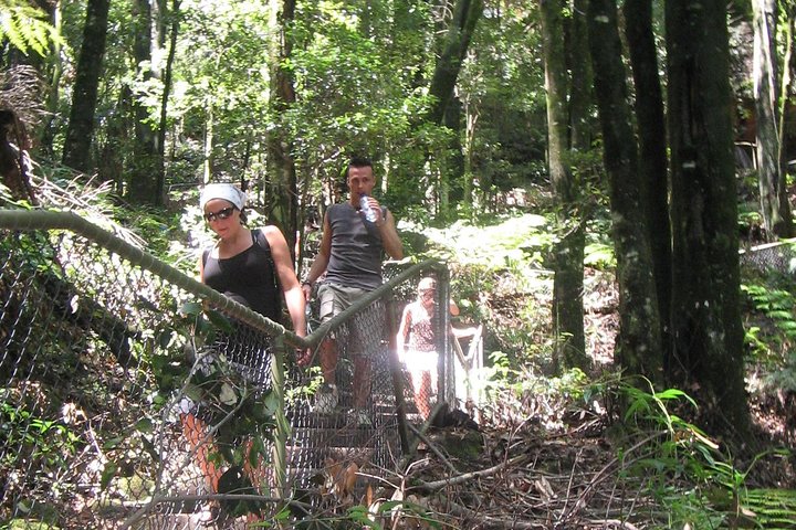 Tour in kleine groep die de Blue Mountains vanuit Sydney verkent, met wildlife, bushwalks en iconische monumenten, foto 8 | wizardtrip