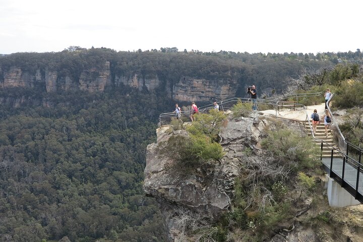 Tour in kleine groep die de Blue Mountains vanuit Sydney verkent, met wildlife, bushwalks en iconische monumenten, foto 12 | wizardtrip