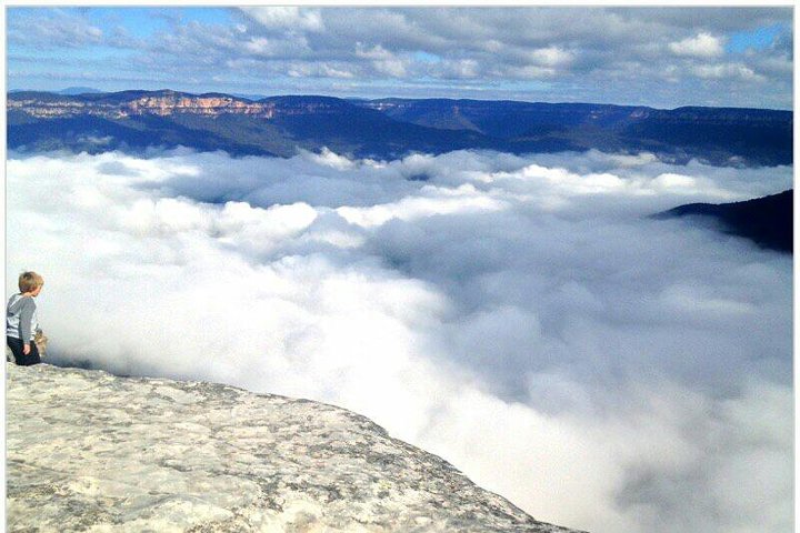 Tour in kleine groep die de Blue Mountains vanuit Sydney verkent, met wildlife, bushwalks en iconische monumenten, foto 14 | wizardtrip