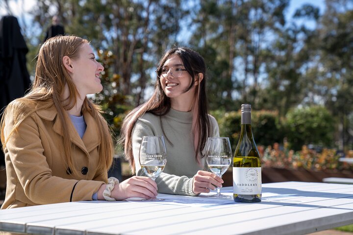 Award-Winning Hunter Valley Wine & Cheese Tour from Sydney | wizardtrip