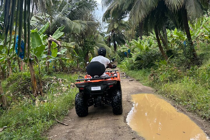 ATV-tur på Saint Lucia med bananplantager, vattenfall, stränder och romprovning, foto 9 | wizardtrip