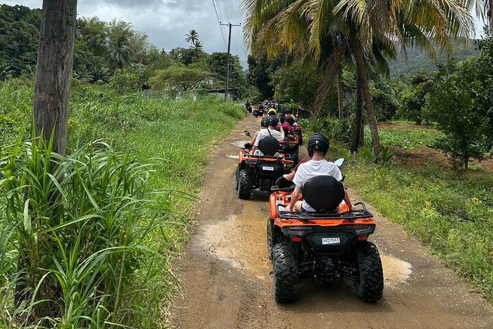 ATV-tur på Saint Lucia med bananplantager, vattenfall, stränder och romprovning, foto 13 | wizardtrip
