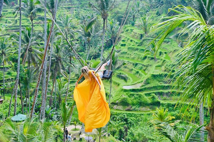 Visite guidée privée des sites incontournables d'Ubud, y compris la forêt des singes, les rizières et les temples, photo 6 | wizardtrip