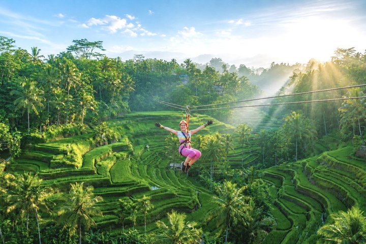 Visite guidée privée des sites incontournables d'Ubud, y compris la forêt des singes, les rizières et les temples, photo 7 | wizardtrip