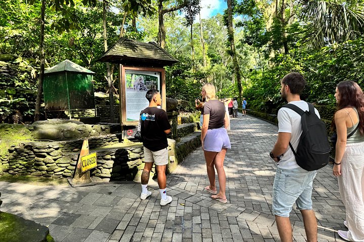 Visite guidée privée des sites incontournables d'Ubud, y compris la forêt des singes, les rizières et les temples, photo 17 | wizardtrip