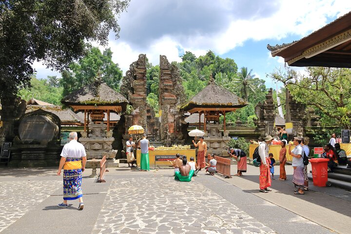 Visite guidée privée des sites incontournables d'Ubud, y compris la forêt des singes, les rizières et les temples, photo 18 | wizardtrip