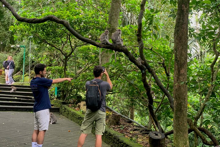 Visite guidée privée des sites incontournables d'Ubud, y compris la forêt des singes, les rizières et les temples, photo 20 | wizardtrip