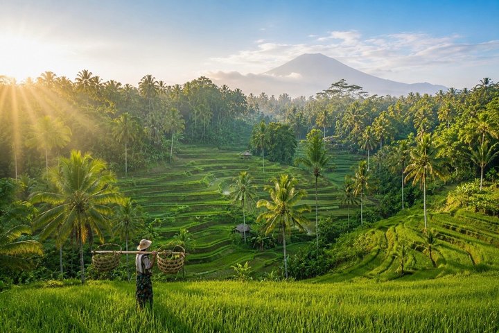 Visite guidée privée des sites incontournables d'Ubud, y compris la forêt des singes, les rizières et les temples, photo 21 | wizardtrip