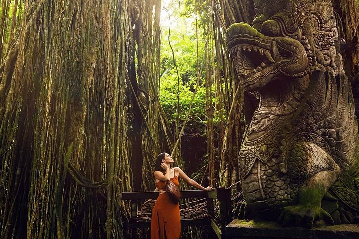 Visite guidée privée des sites incontournables d'Ubud, y compris la forêt des singes, les rizières et les temples, photo 22 | wizardtrip