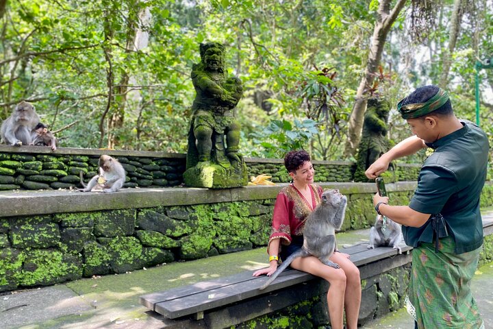 Visite guidée privée des sites incontournables d'Ubud, y compris la forêt des singes, les rizières et les temples, photo 25 | wizardtrip