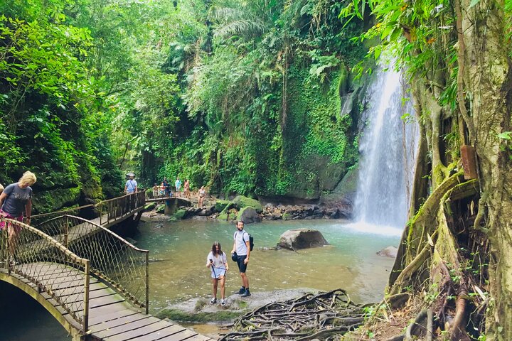 Visite guidée privée des sites incontournables d'Ubud, y compris la forêt des singes, les rizières et les temples, photo 26 | wizardtrip