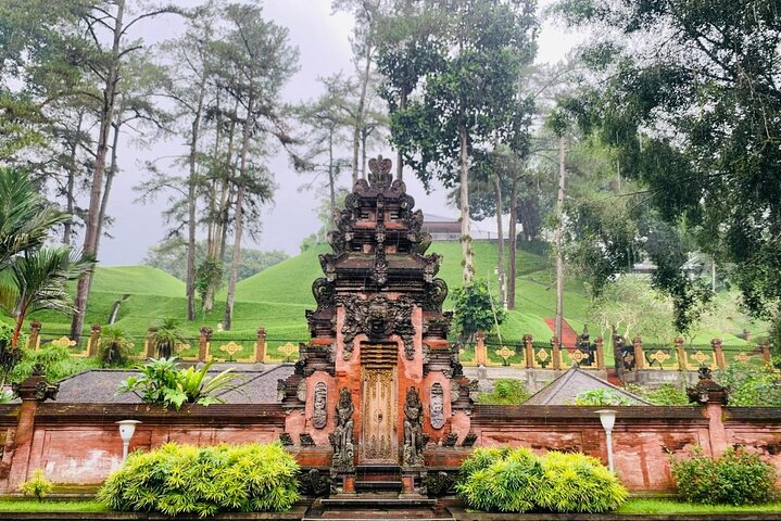 Visite guidée privée des sites incontournables d'Ubud, y compris la forêt des singes, les rizières et les temples, photo 27 | wizardtrip