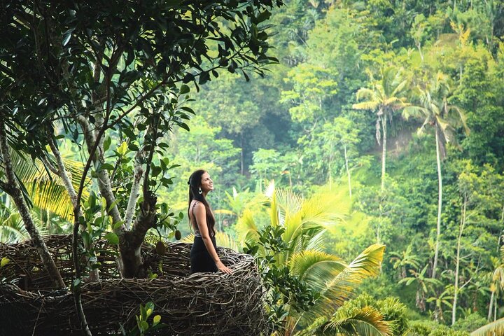 Visite guidée privée des sites incontournables d'Ubud, y compris la forêt des singes, les rizières et les temples, photo 28 | wizardtrip