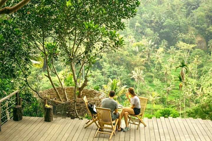 Visite guidée privée des sites incontournables d'Ubud, y compris la forêt des singes, les rizières et les temples, photo 31 | wizardtrip