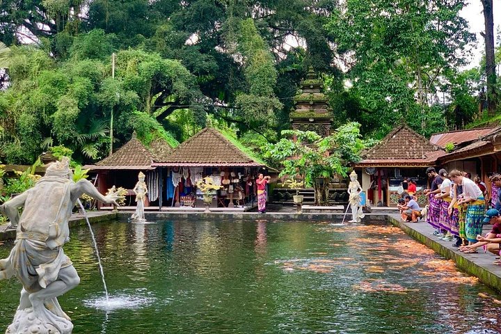 Visite guidée privée des sites incontournables d'Ubud, y compris la forêt des singes, les rizières et les temples, photo 34 | wizardtrip