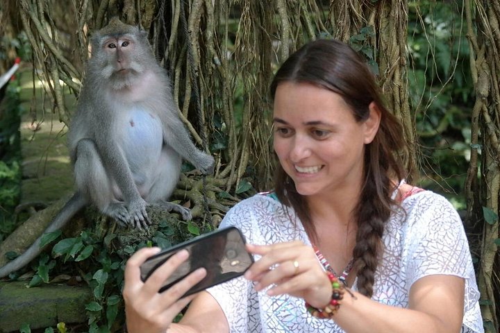 Visite guidée privée des sites incontournables d'Ubud, y compris la forêt des singes, les rizières et les temples, photo 36 | wizardtrip