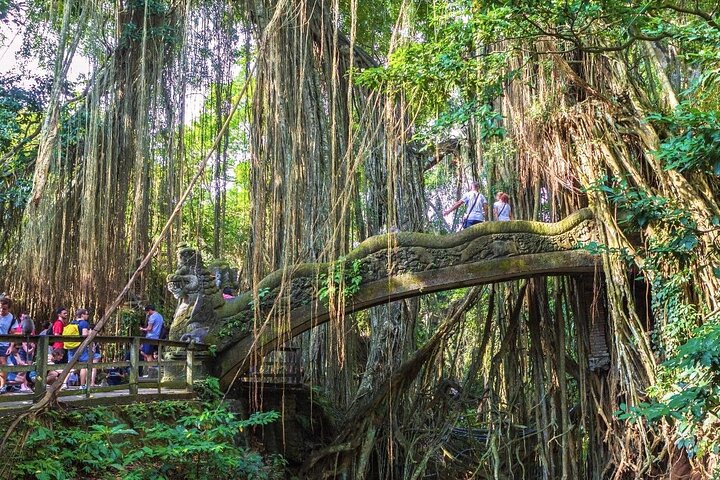 Visite guidée privée des sites incontournables d'Ubud, y compris la forêt des singes, les rizières et les temples, photo 38 | wizardtrip