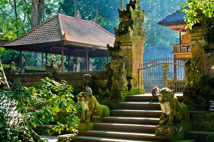 Visite guidée privée des sites incontournables d'Ubud, y compris la forêt des singes, les rizières et les temples, photo 39 | wizardtrip