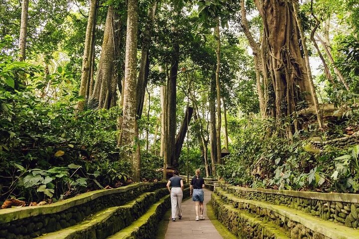 Visite guidée privée des sites incontournables d'Ubud, y compris la forêt des singes, les rizières et les temples, photo 41 | wizardtrip