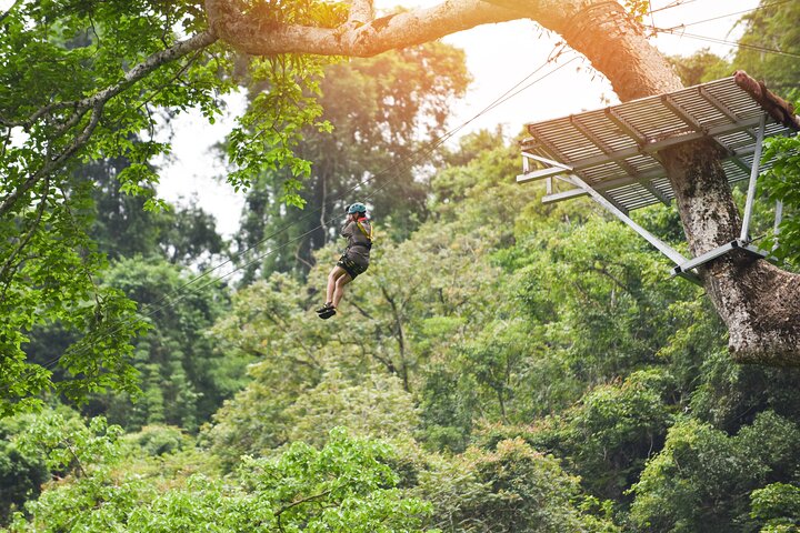 Visite guidée privée des sites incontournables d'Ubud, y compris la forêt des singes, les rizières et les temples, photo 42 | wizardtrip