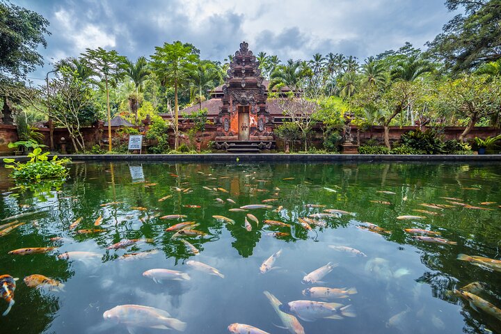 Visite guidée privée des sites incontournables d'Ubud, y compris la forêt des singes, les rizières et les temples, photo 44 | wizardtrip