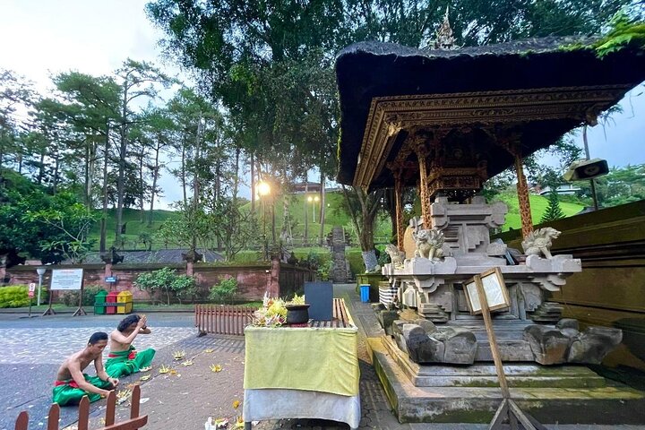 Visite guidée privée des sites incontournables d'Ubud, y compris la forêt des singes, les rizières et les temples, photo 46 | wizardtrip
