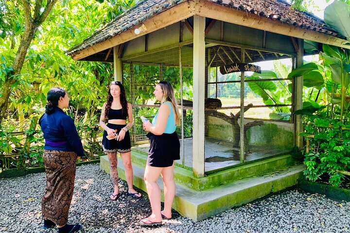 Visite guidée privée des sites incontournables d'Ubud, y compris la forêt des singes, les rizières et les temples, photo 47 | wizardtrip