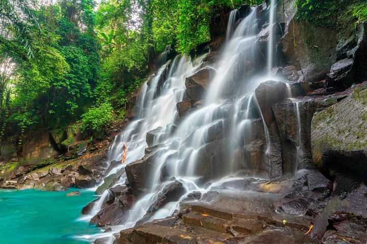 Privé tour die Ubud's watervallen, tempels en rijstterrassen verkent met optionele schommels, foto 7 | wizardtrip