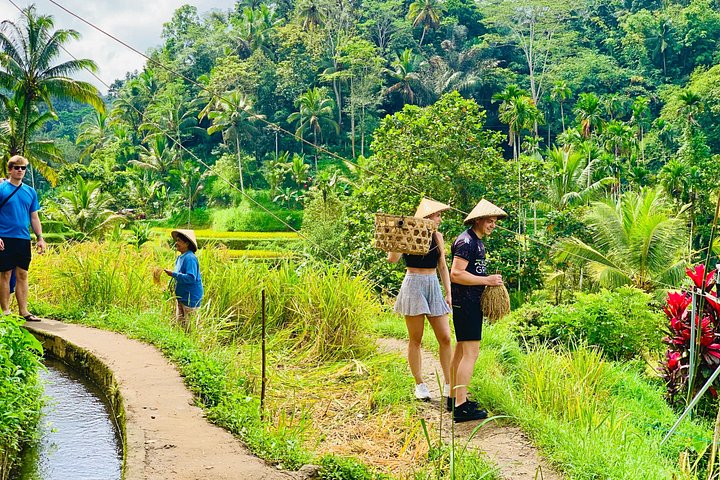 Privé tour die Ubud's watervallen, tempels en rijstterrassen verkent met optionele schommels, foto 10 | wizardtrip
