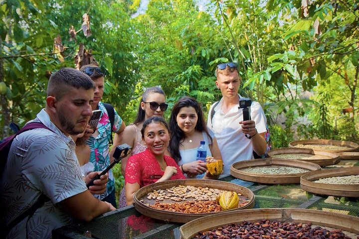 Privé tour die Ubud's watervallen, tempels en rijstterrassen verkent met optionele schommels, foto 14 | wizardtrip