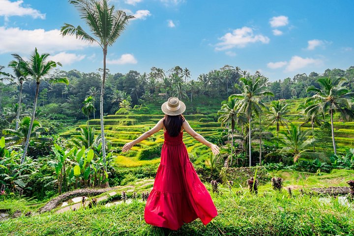 Privé tour die Ubud's watervallen, tempels en rijstterrassen verkent met optionele schommels, foto 15 | wizardtrip