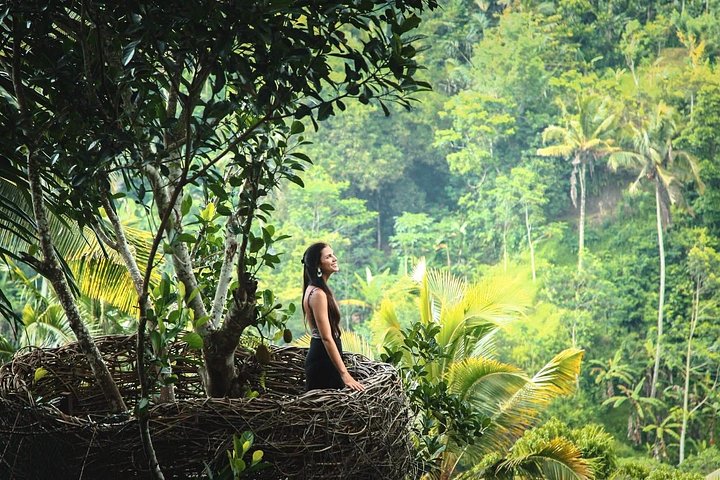 Privé tour die Ubud's watervallen, tempels en rijstterrassen verkent met optionele schommels, foto 16 | wizardtrip