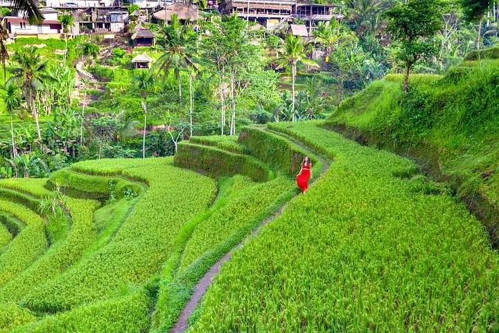 Privé tour die Ubud's watervallen, tempels en rijstterrassen verkent met optionele schommels, foto 25 | wizardtrip