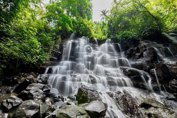 Privé tour die Ubud's watervallen, tempels en rijstterrassen verkent met optionele schommels, foto 28 | wizardtrip
