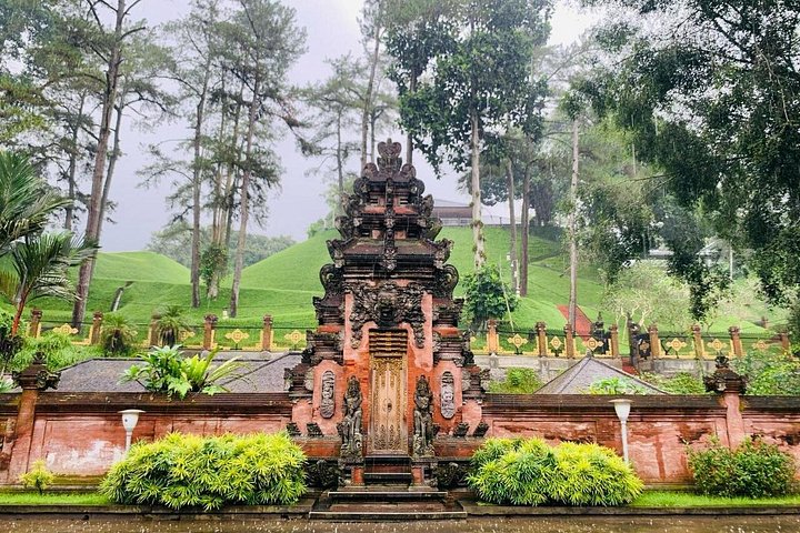 Privé tour die Ubud's watervallen, tempels en rijstterrassen verkent met optionele schommels, foto 32 | wizardtrip