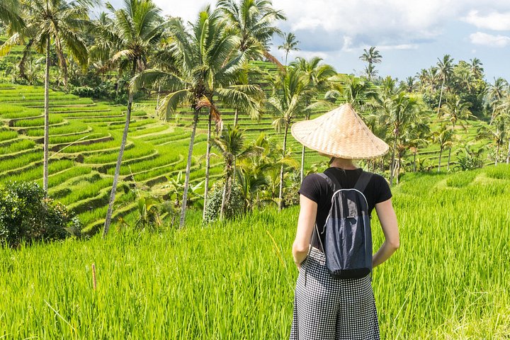Privé tour die Ubud's watervallen, tempels en rijstterrassen verkent met optionele schommels, foto 35 | wizardtrip