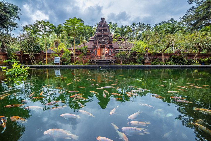 Privé tour die Ubud's watervallen, tempels en rijstterrassen verkent met optionele schommels, foto 39 | wizardtrip