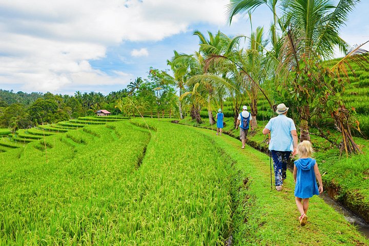 Privé tour die Ubud's watervallen, tempels en rijstterrassen verkent met optionele schommels, foto 43 | wizardtrip