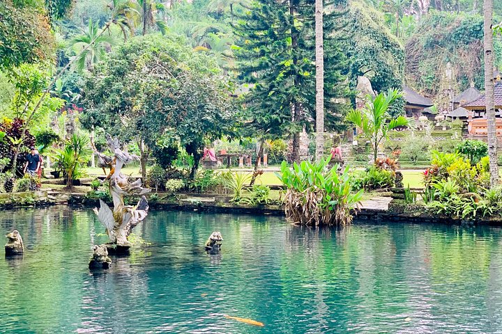 Privé tour die Ubud's watervallen, tempels en rijstterrassen verkent met optionele schommels, foto 48 | wizardtrip